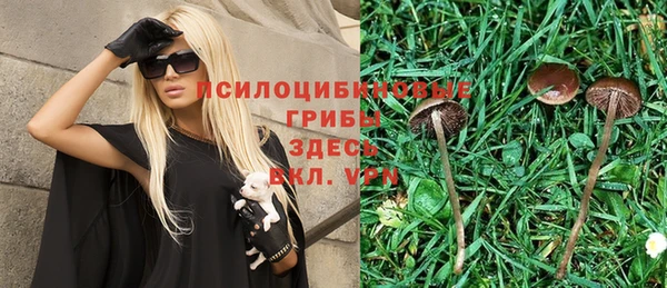 мяу мяу мука Богородицк