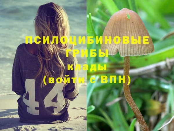 гашик Богородск