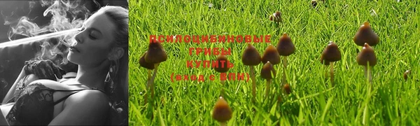 мяу мяу мука Богородицк