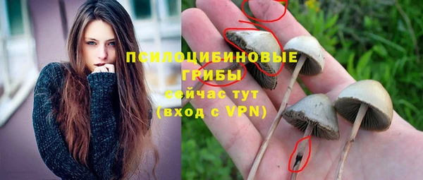 гашик Богородск