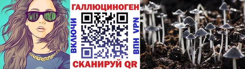 Купить закладки  Малоярославец  Псилоцибиновые грибы Psilocybine cubensis 
